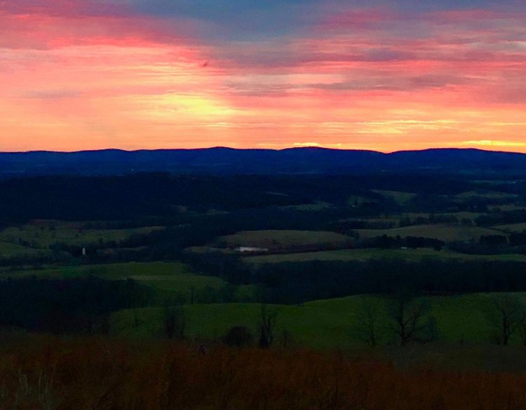 First Day Hikes at Sky Meadows Blue Ridge Country